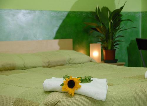 On The Rainbow B&B Рим Екстер'єр фото